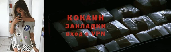дмт Пересвет